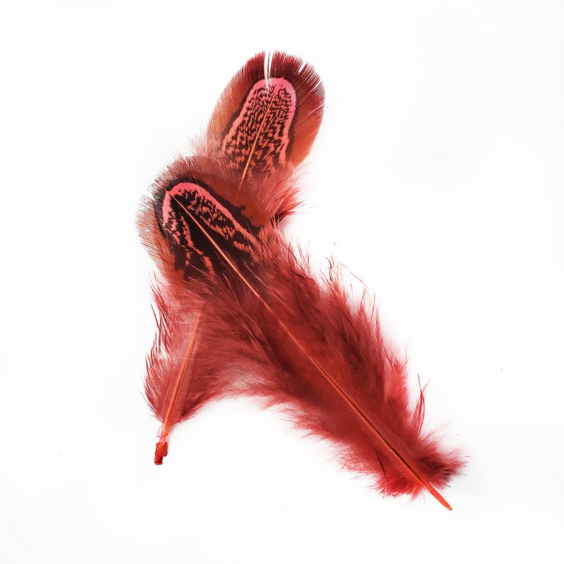 HAPPY FEATHER 100 pcs Natural Pheasant Plumage Feathers 2-3 Inches Plumage Feathers for Sewing Crafts Clothing Decorating Accessories -Red - Image 3